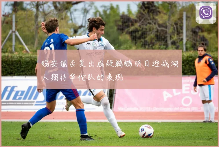 锡安能否复出成疑鹈鹕明日迎战湖人期待华佗队的表现