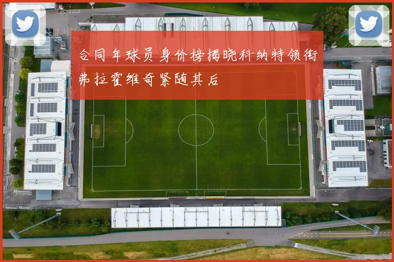 合同年球员身价榜揭晓科纳特领衔弗拉霍维奇紧随其后